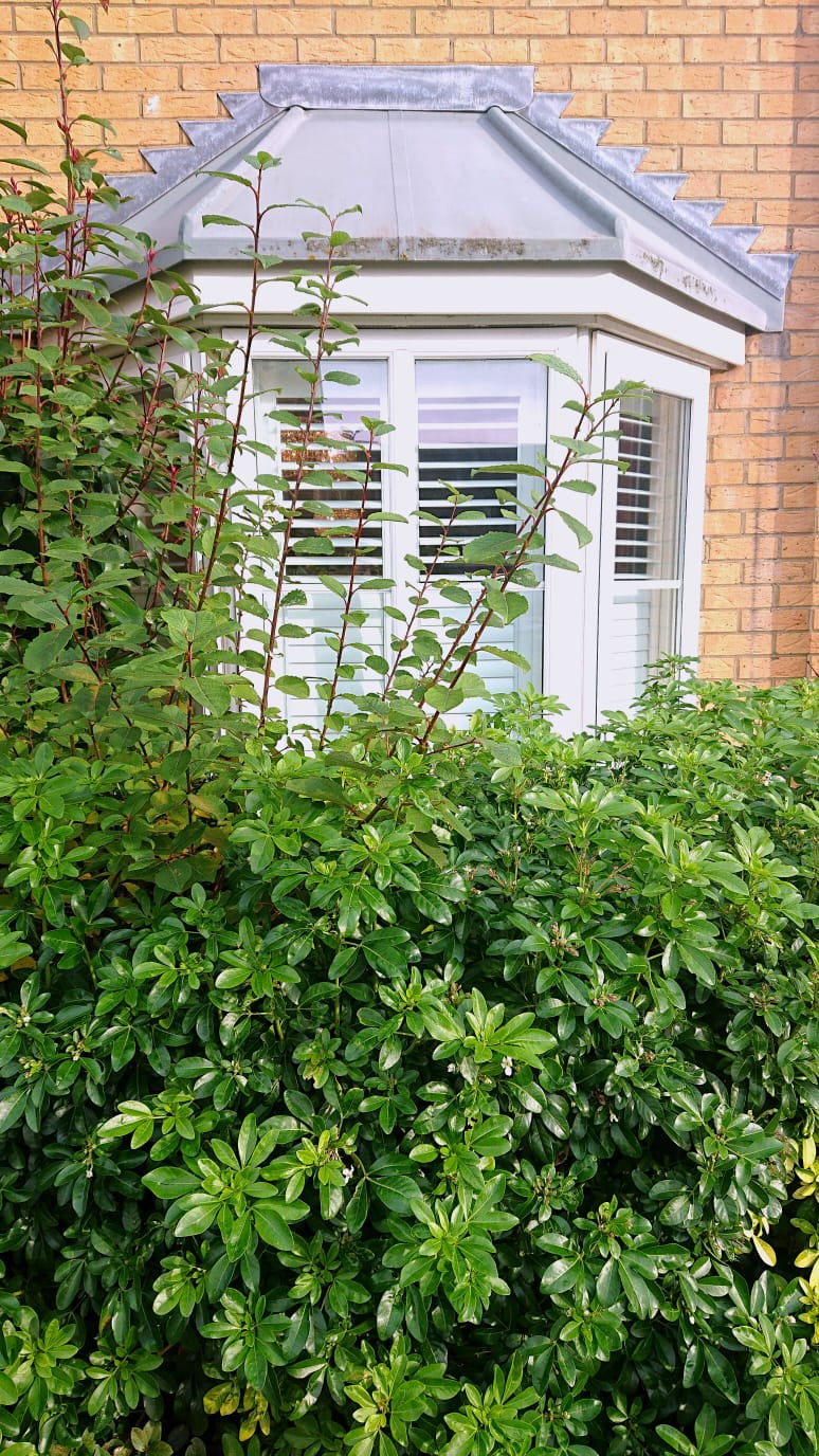 751f2481-4bb7-4d2f-97bb-3e6d846eef2a